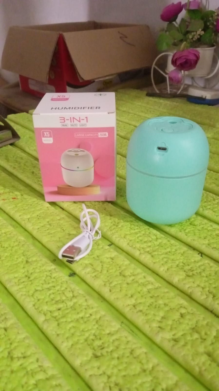Portable Mini USB Humidifier with Light, Cool Mist & Essential Oil Diffuser (250ML)